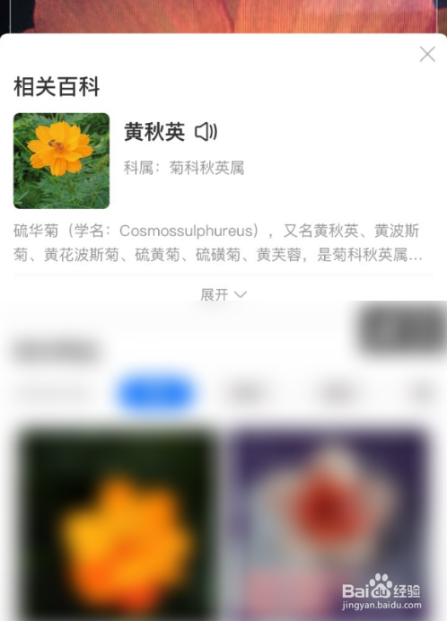 支付宝怎么识别植物