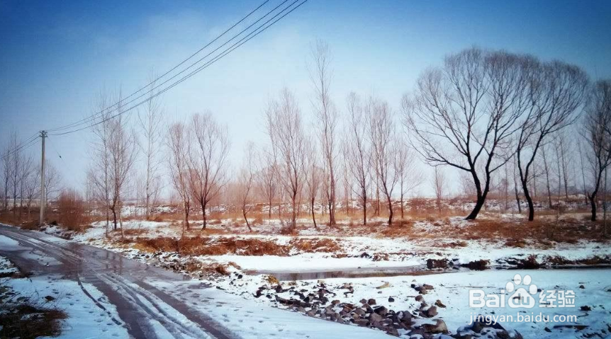 燕子为什么往南飞？