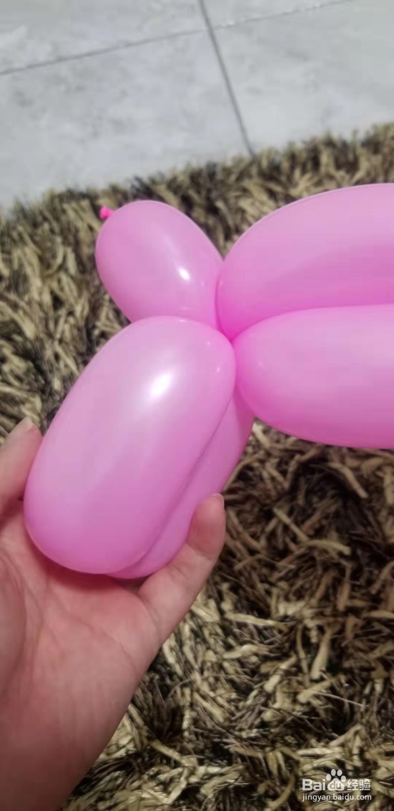 我爱气球之魔术气球--如何制作小猪