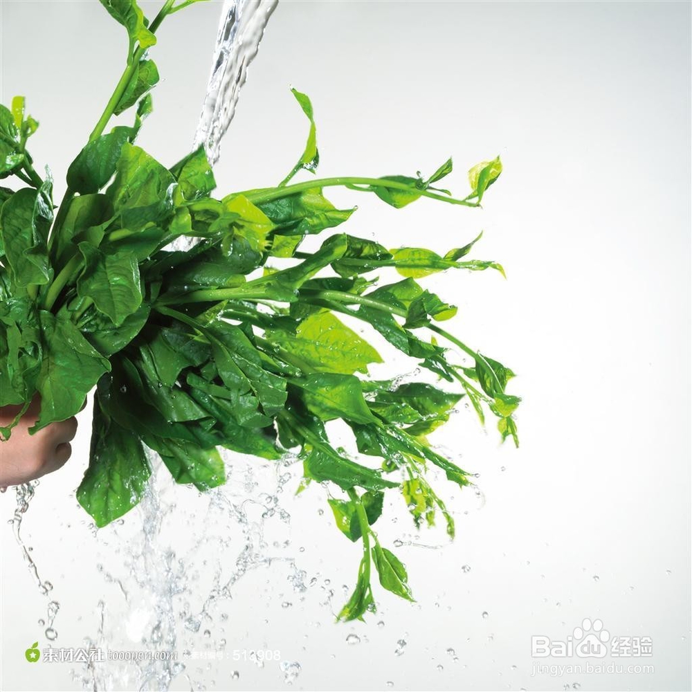 怎样使蔬菜营养可口