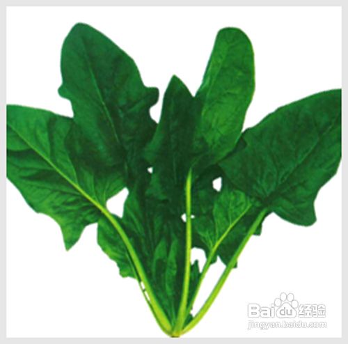 最科学的减肥方法