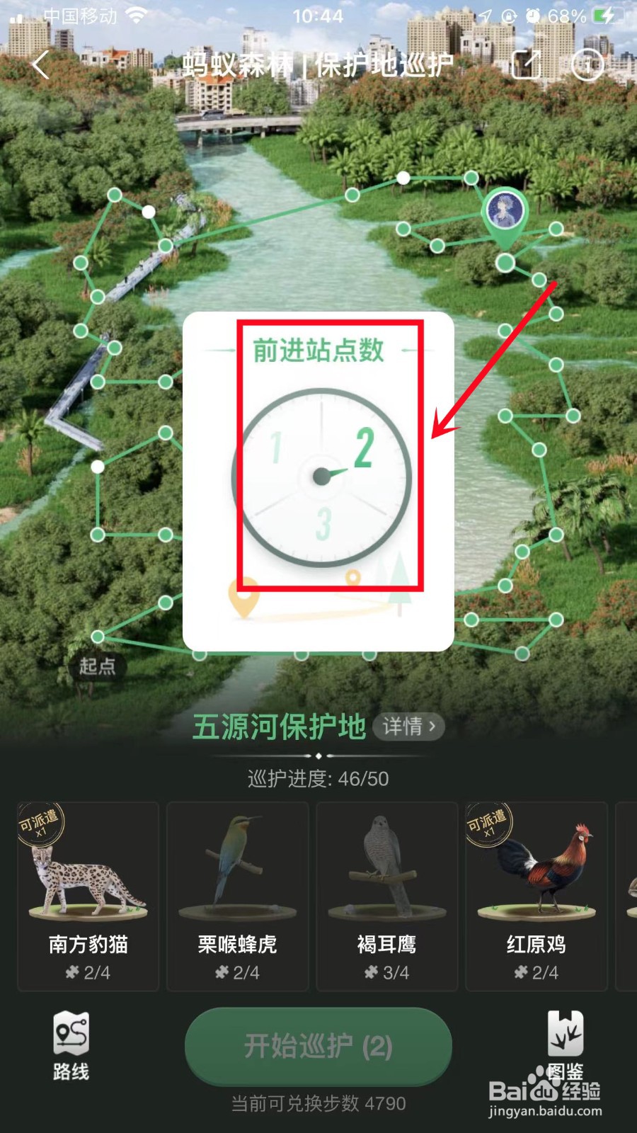 蚂蚁森林怎么巡护保护地