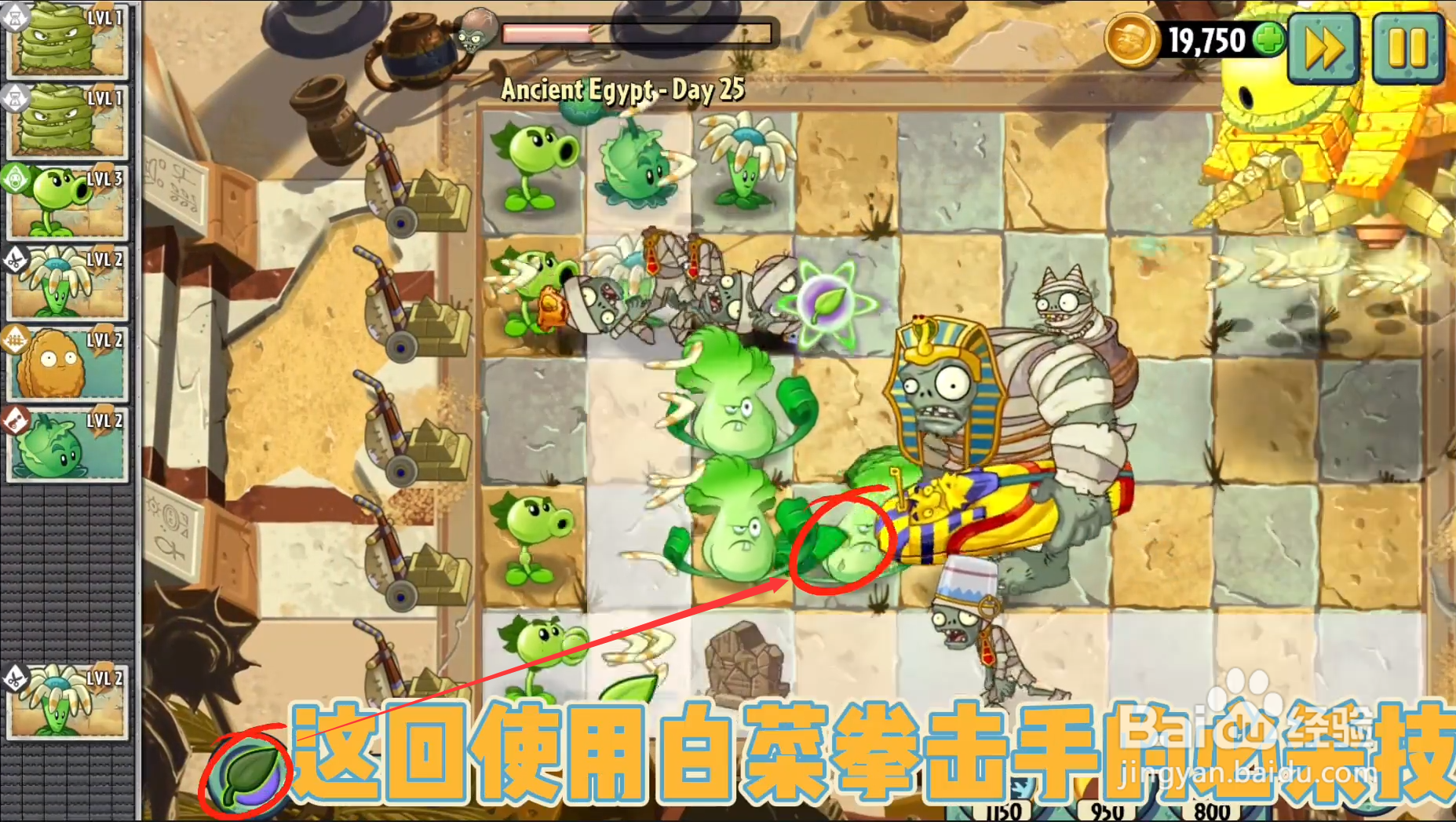 植物大战僵尸2第一章最后一关怎么打