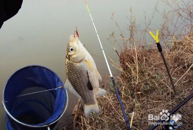 垂钓技巧 冬天钓鱼的小技巧