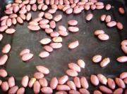 烤制原味花生米