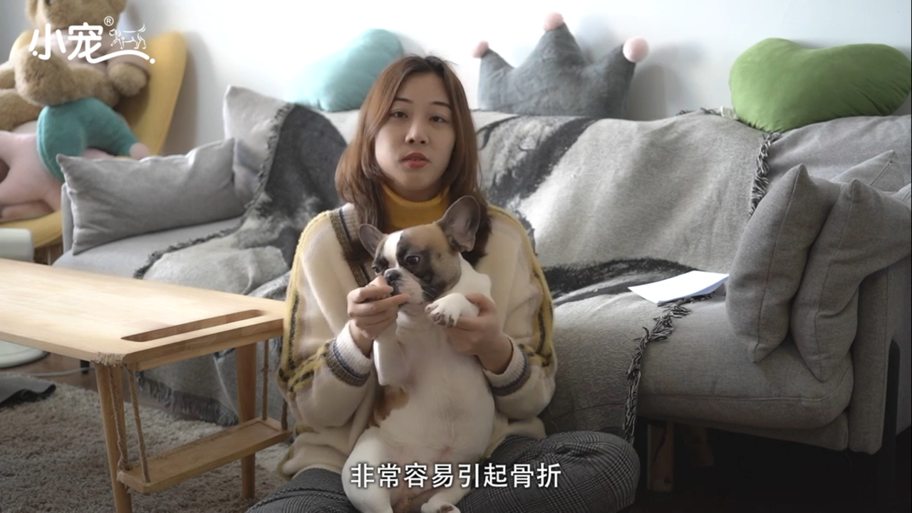 狗狗如何正确补钙