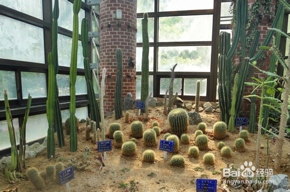 韩国光州牛峙公园旅游攻略