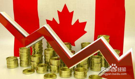 加拿大生子花费大概需要多少？