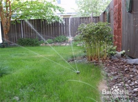 20头的三七多少钱一斤,近期的行情怎么样?