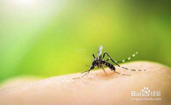 夏季生活小贴士