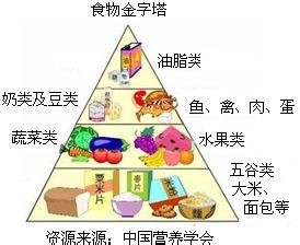 如何预防并治疗冬季抑郁症？