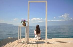 赏樱花赏银杏—赏醉美云南