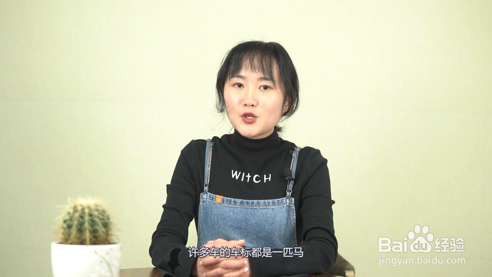 一个马的车标是什么车