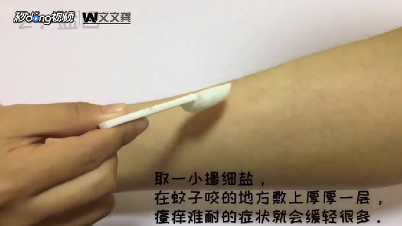 被蚊子叮咬怎样快速止痒