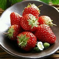 南瓜绒草莓雪媚娘攻略