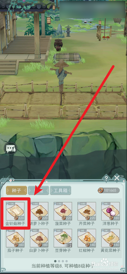 江湖悠悠金针菇怎么种植
