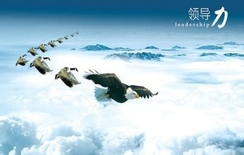 吴帝聪：做好企业管理的五个步骤