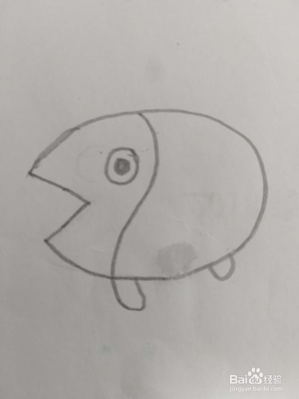 儿童简笔画,教你画金鱼