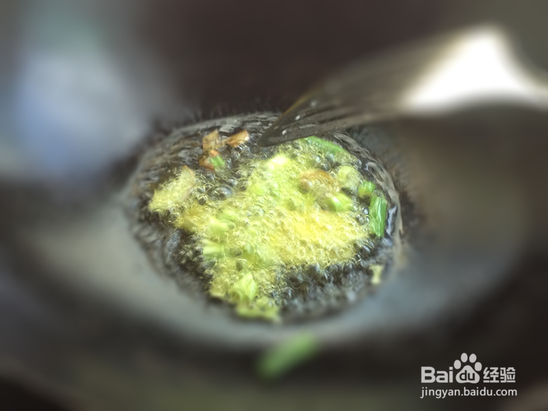 怎么做排骨烧豆角
