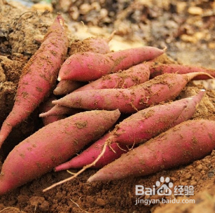 减肥期间，用它代替主食事半功倍