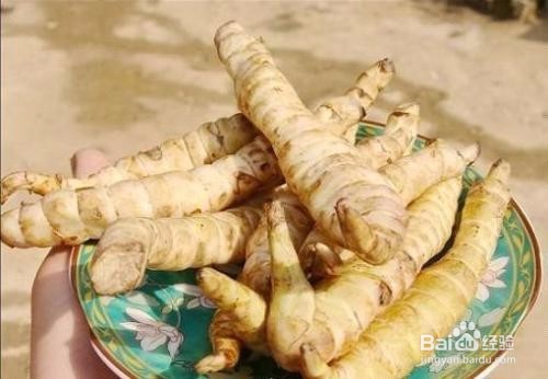 虫草参怎么吃