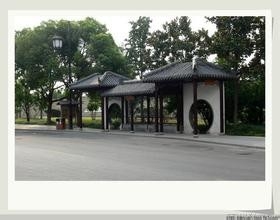 香山枫叶红满天