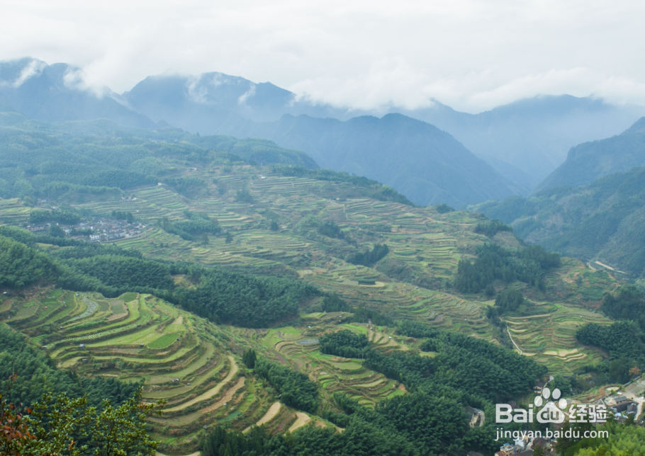 <b>遂昌旅游攻略及景点大全图文详解</b>