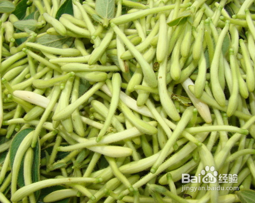 蜂蜜这样吃营养价值会更高