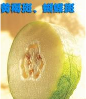 罕见美容偏方， 再懒的女人都能用