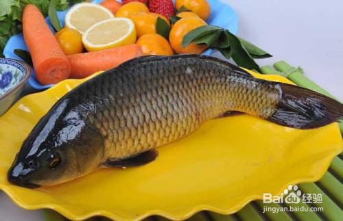 过年做什么鱼寓意好