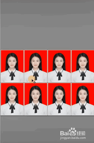 如何给证件照片排版