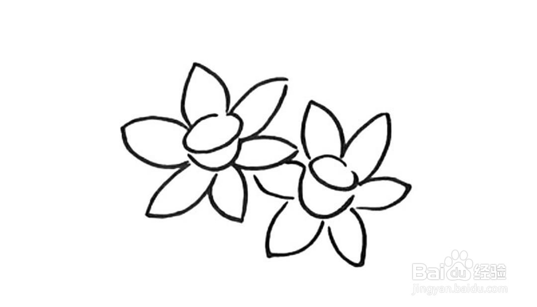 如何画水仙花的卡通简笔画教程