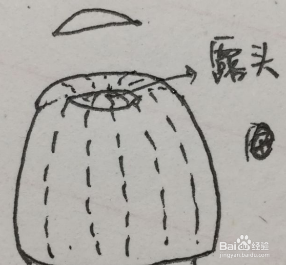 葡萄柚怎么剥方便