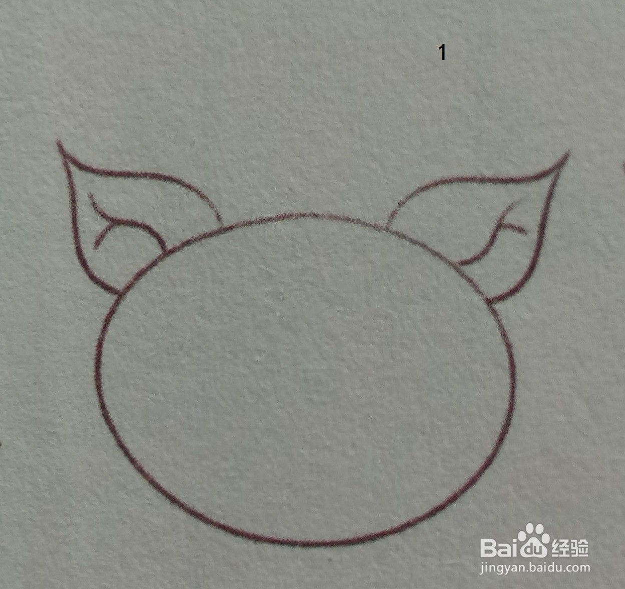 利用暗红色画小猪头的简笔画