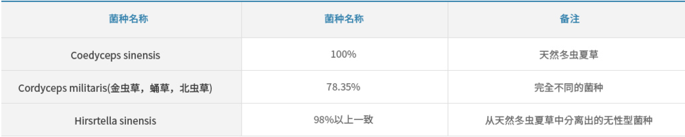 虫草认知 | 蝙蝠蛾冬虫夏草