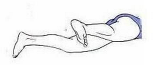 蝶泳的划手方法