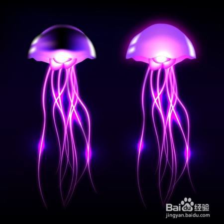 别看水母长得漂亮，被它蛰了那就糟糕啦！不过可以抹点醋就好啦！