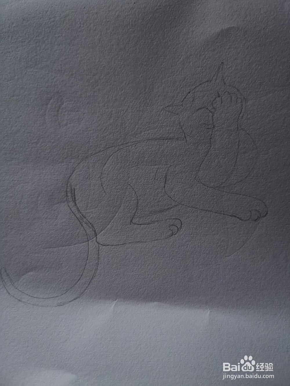 可爱的猫咪简笔画怎么画