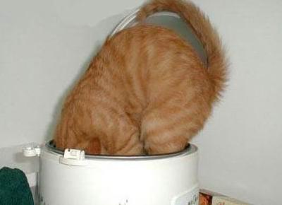 多余的月饼如何处理