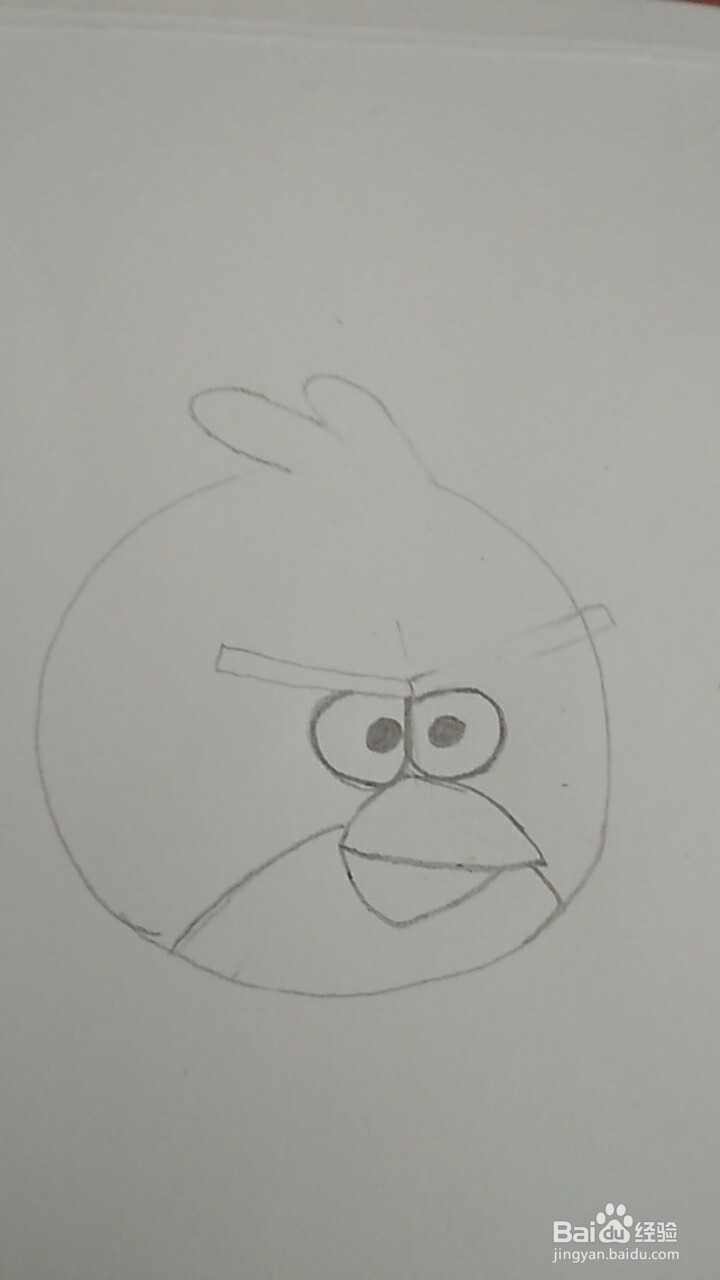 多妈简笔画愤怒的小鸟