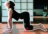 怎样练习动物运动操来预防颈椎病?