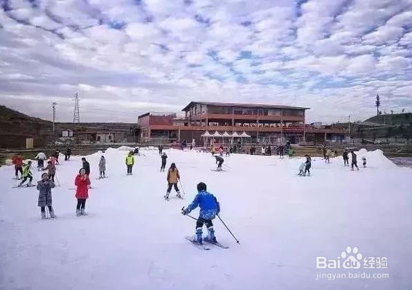 双板滑雪怎样入门