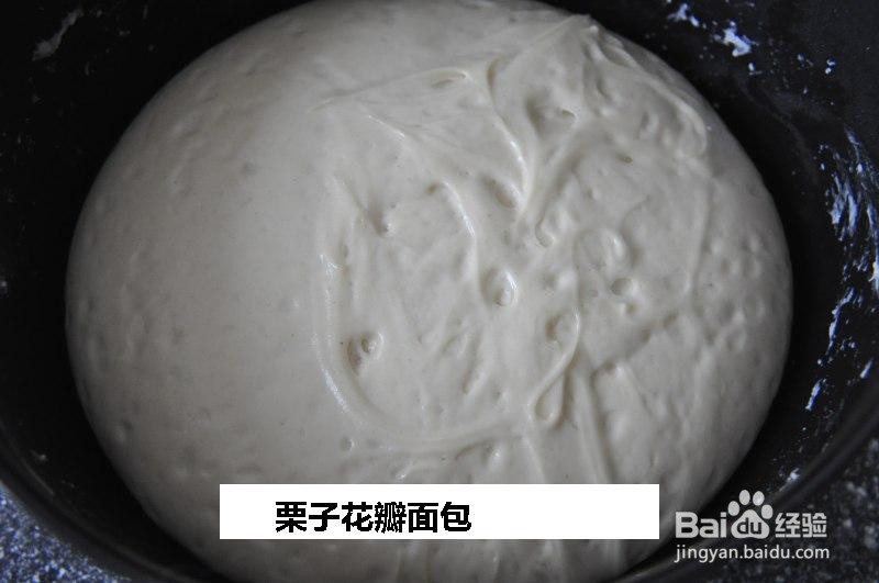 栗子花瓣面包的做法