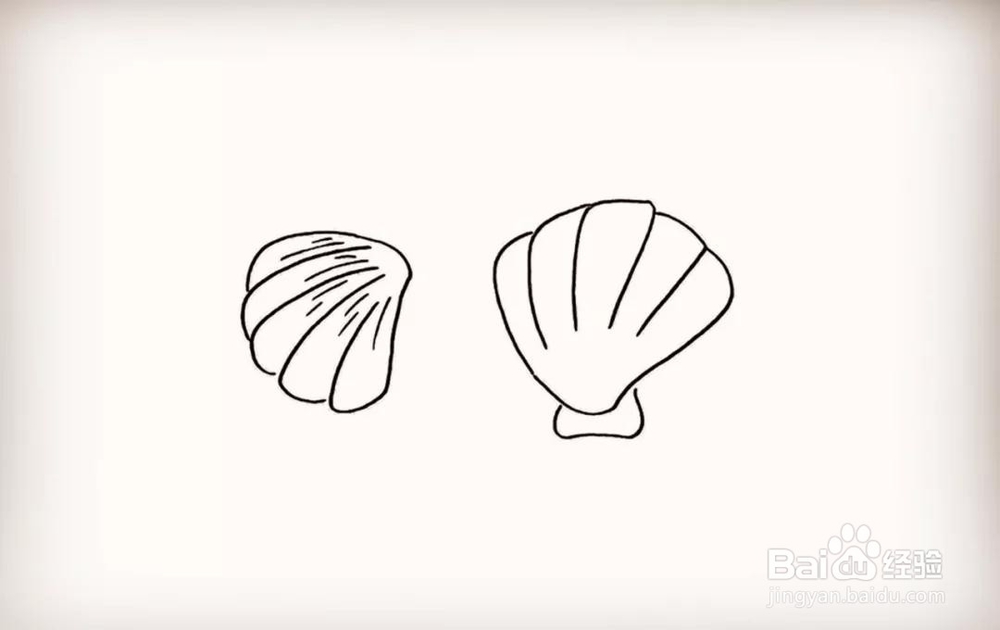 贝壳简笔画步骤图片