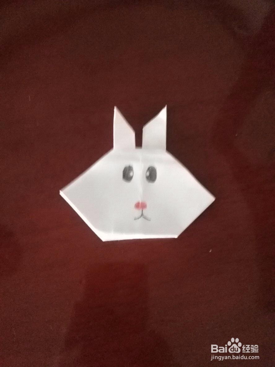 萌萌哒小兔子