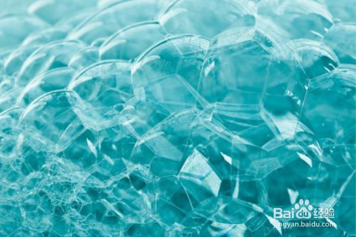 养花有小飞虫怎么办