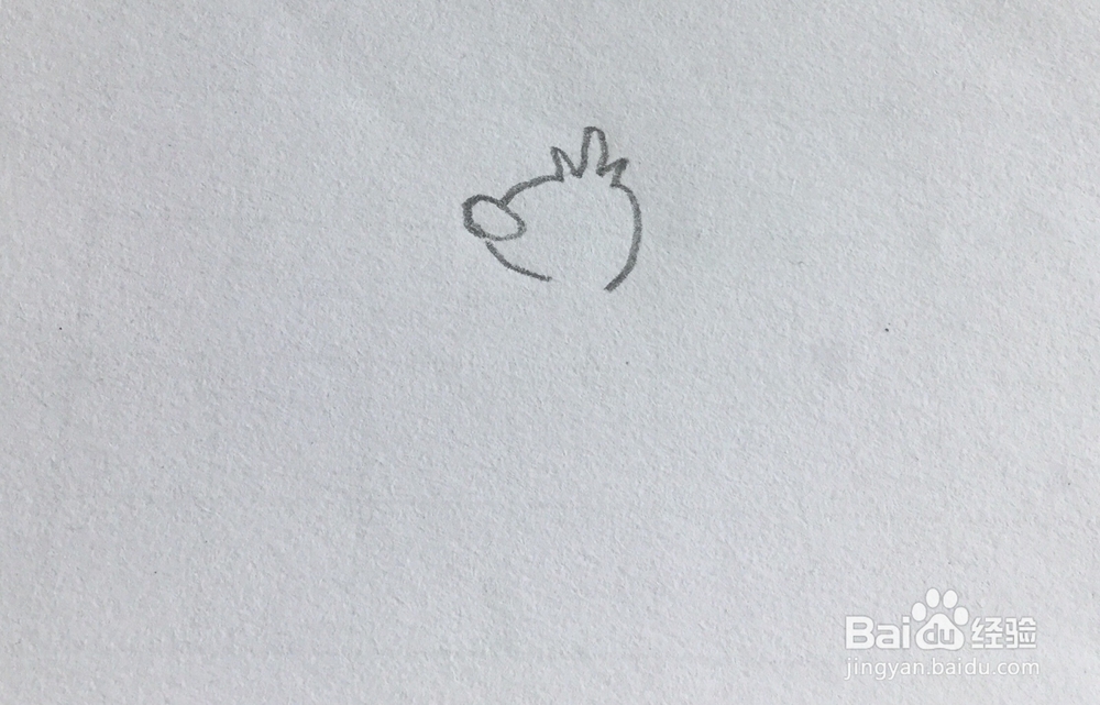 怎么画小鸭子简笔画