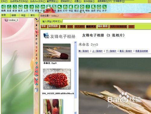 通过网页相册在友益文书中快速实现图片缩放预览