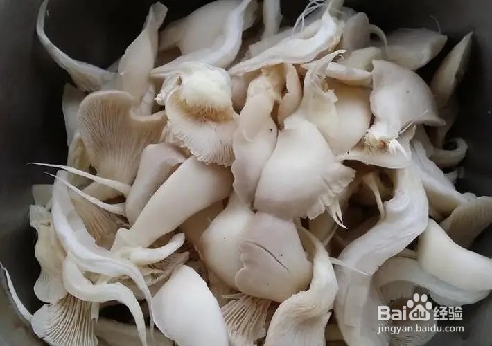 凤尾菇炖猪骨汤