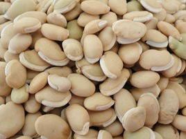 中医推荐的养生菜第一弹